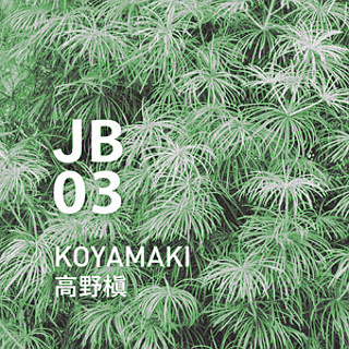 �u�����h�E�C���[�W